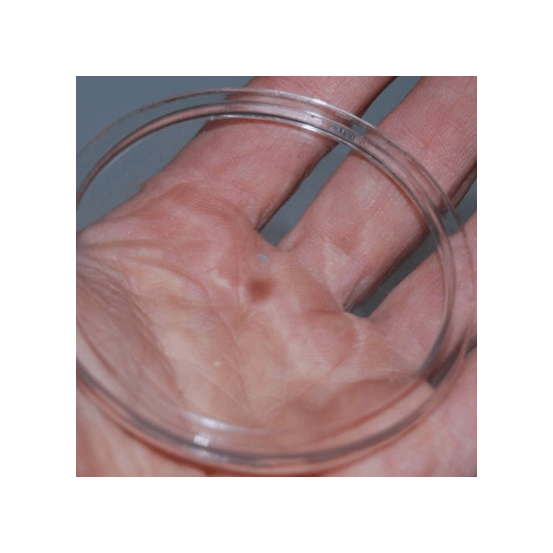 Resina Poliester transparent per oclusions