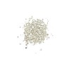 Xips de plata per Jesmonite 30gr (glitter chips)
