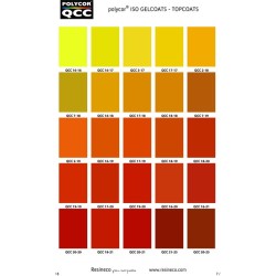 TOP-COAT BROCHA COLOR QCC 20 KG